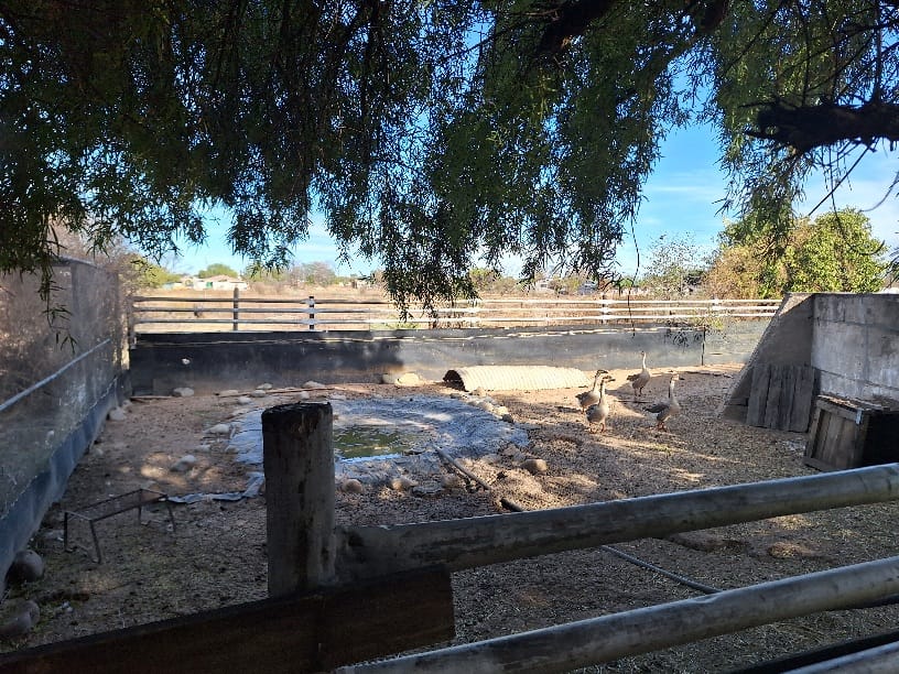 3 Bedroom Property for Sale in Delportshoop Northern Cape